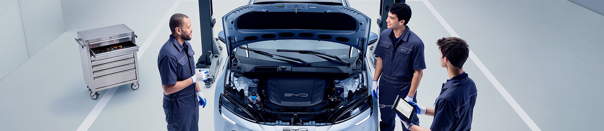 BYD service